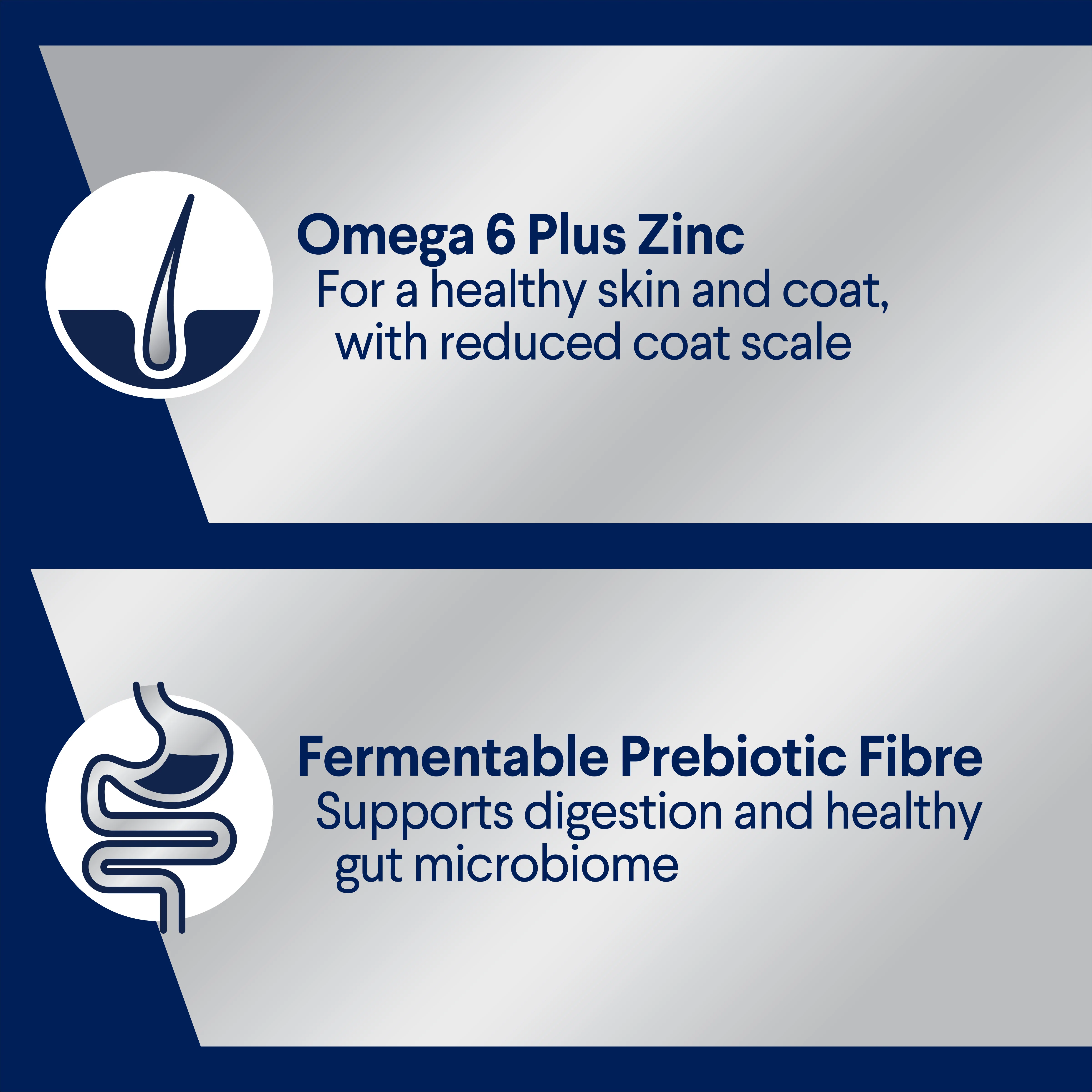 Advance Chicken and Turkey All Breed Adult Dog Wet Food Can 700g x 12 - Image 7