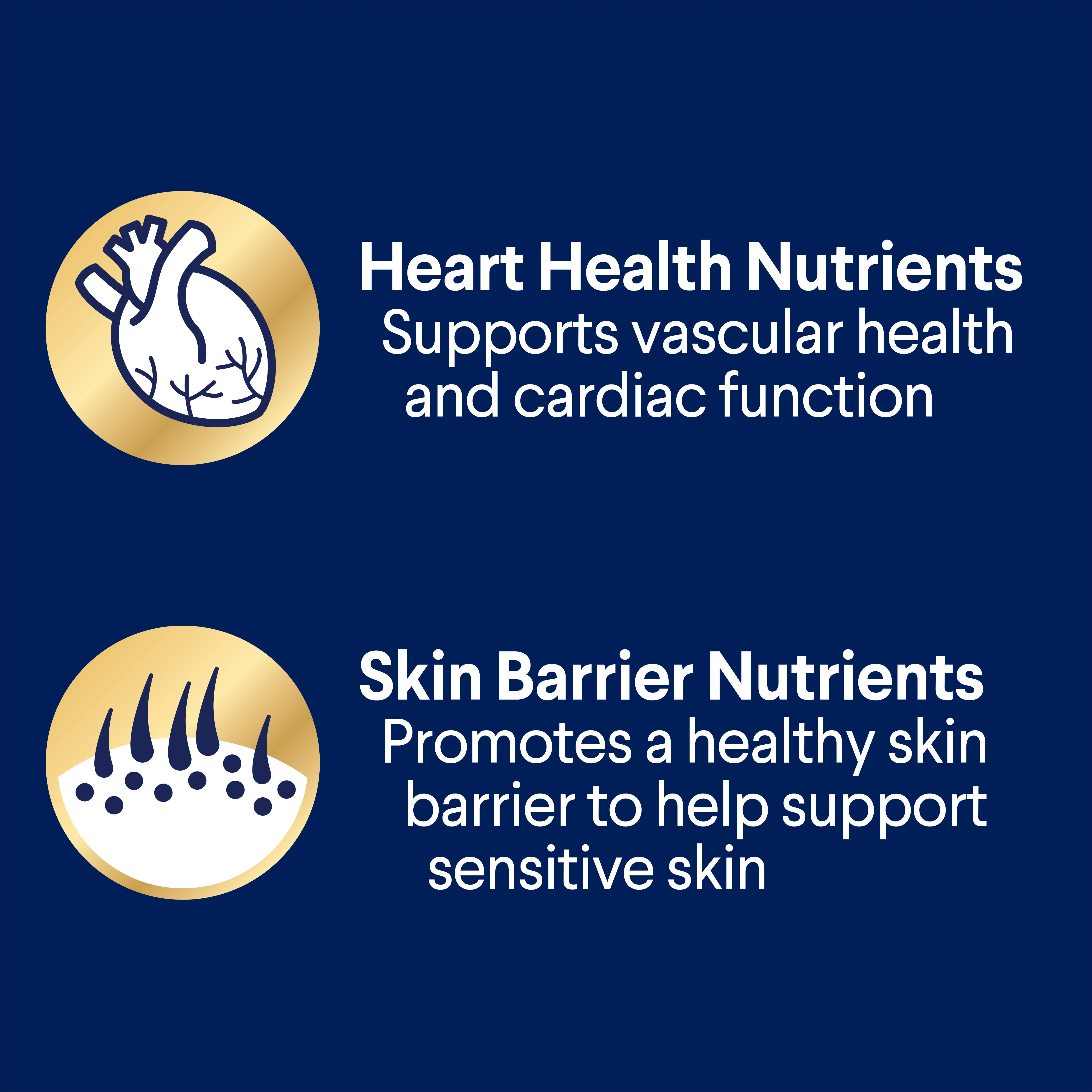 Advance Salmon Oodles Adult Wet Dog Food Trays 100g x 12 - Image 5