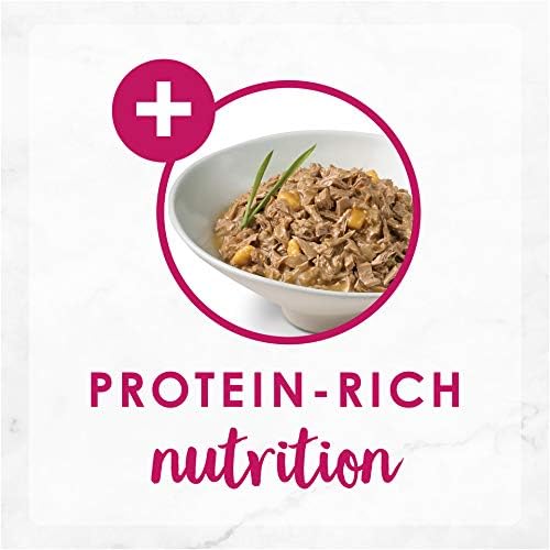 Fancy Feast Delights With Cheddar Grilled Chicken And Cheddar Cheese Feast In Gravy Wet Cat Food 85g x 24 - Image 3