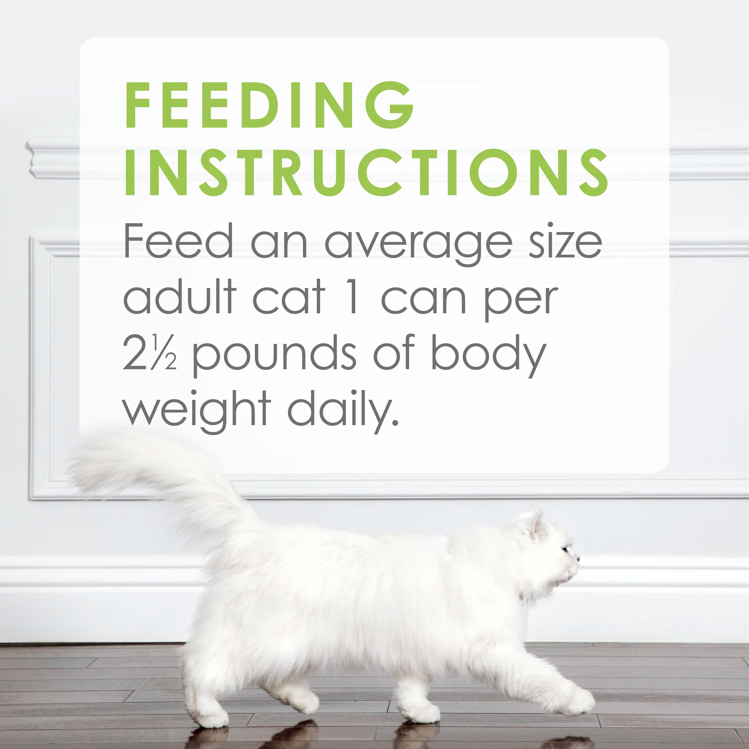 Fancy Feast Medleys White Meat Chicken Tuscany Adult Wet Cat Food 85g x 24 - Image 4