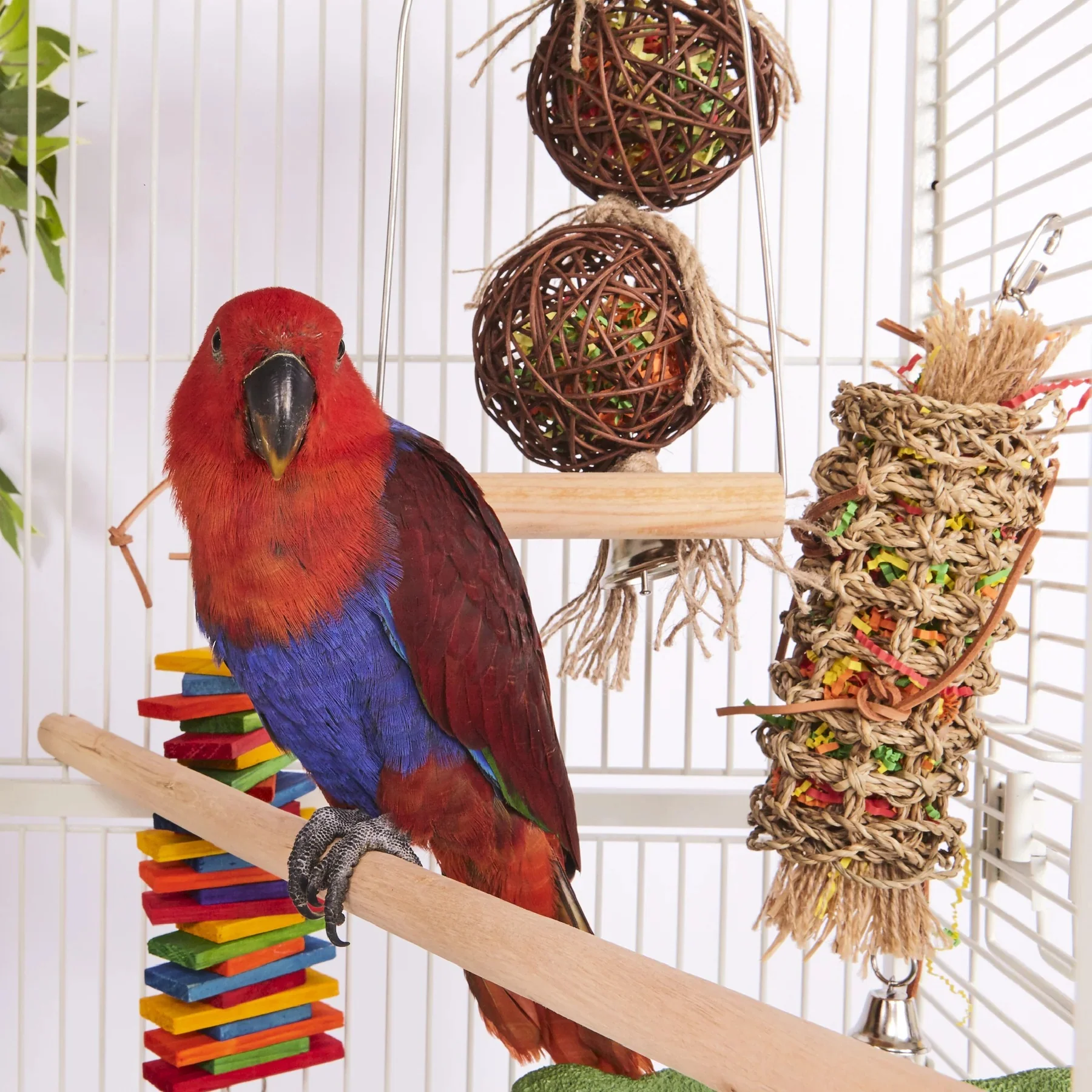 Kazoo Hanging Foraging Crinkle Vine Bird Toy Small - Image 4