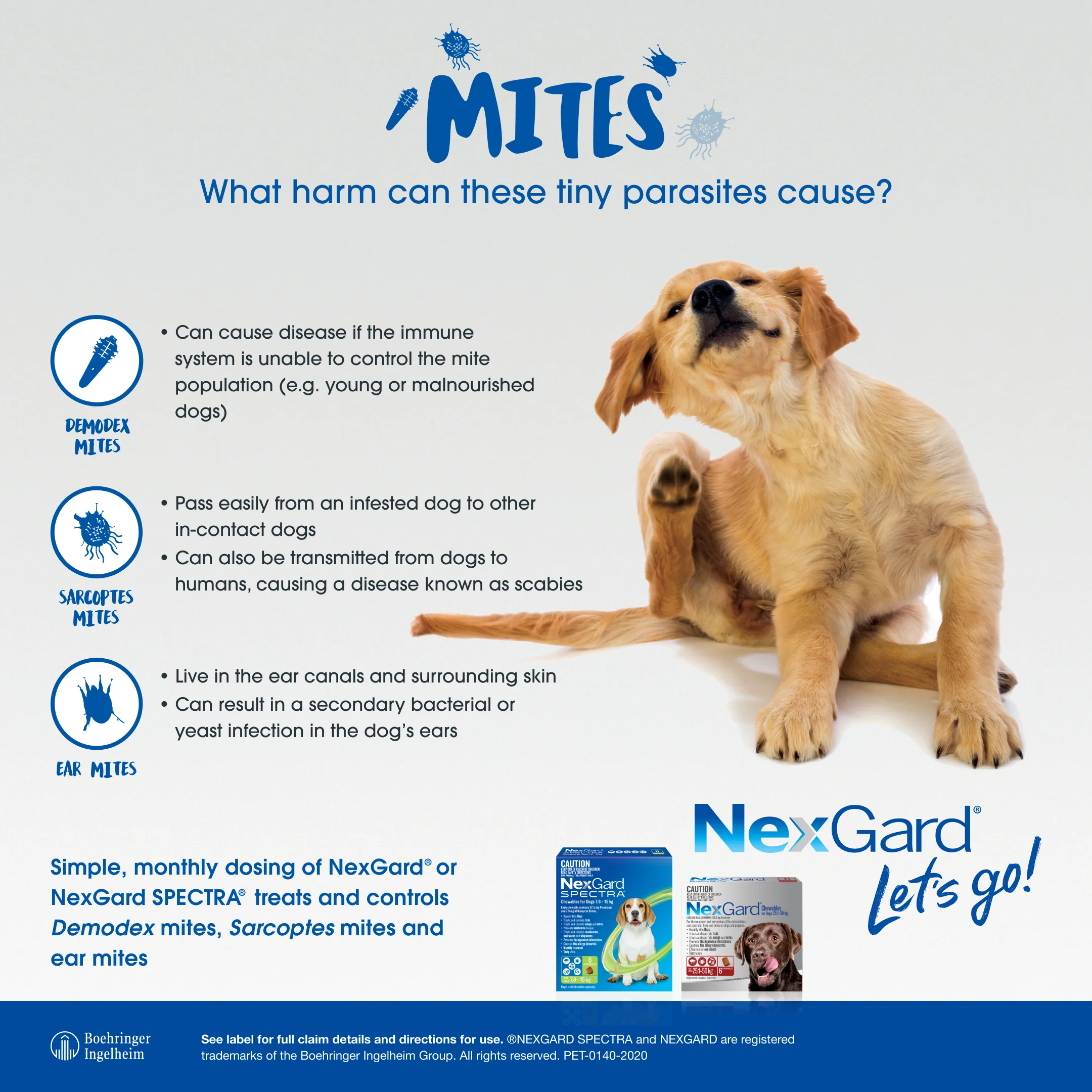 NexGard SPECTRA Very Small Dog Chews 1.35-3.5kg - Image 11