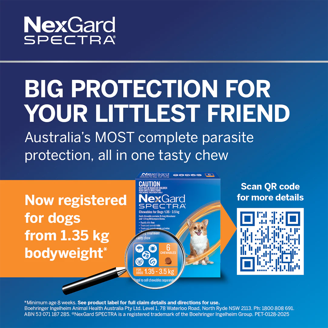 NexGard SPECTRA Very Small Dog Chews 1.35-3.5kg - Image 3